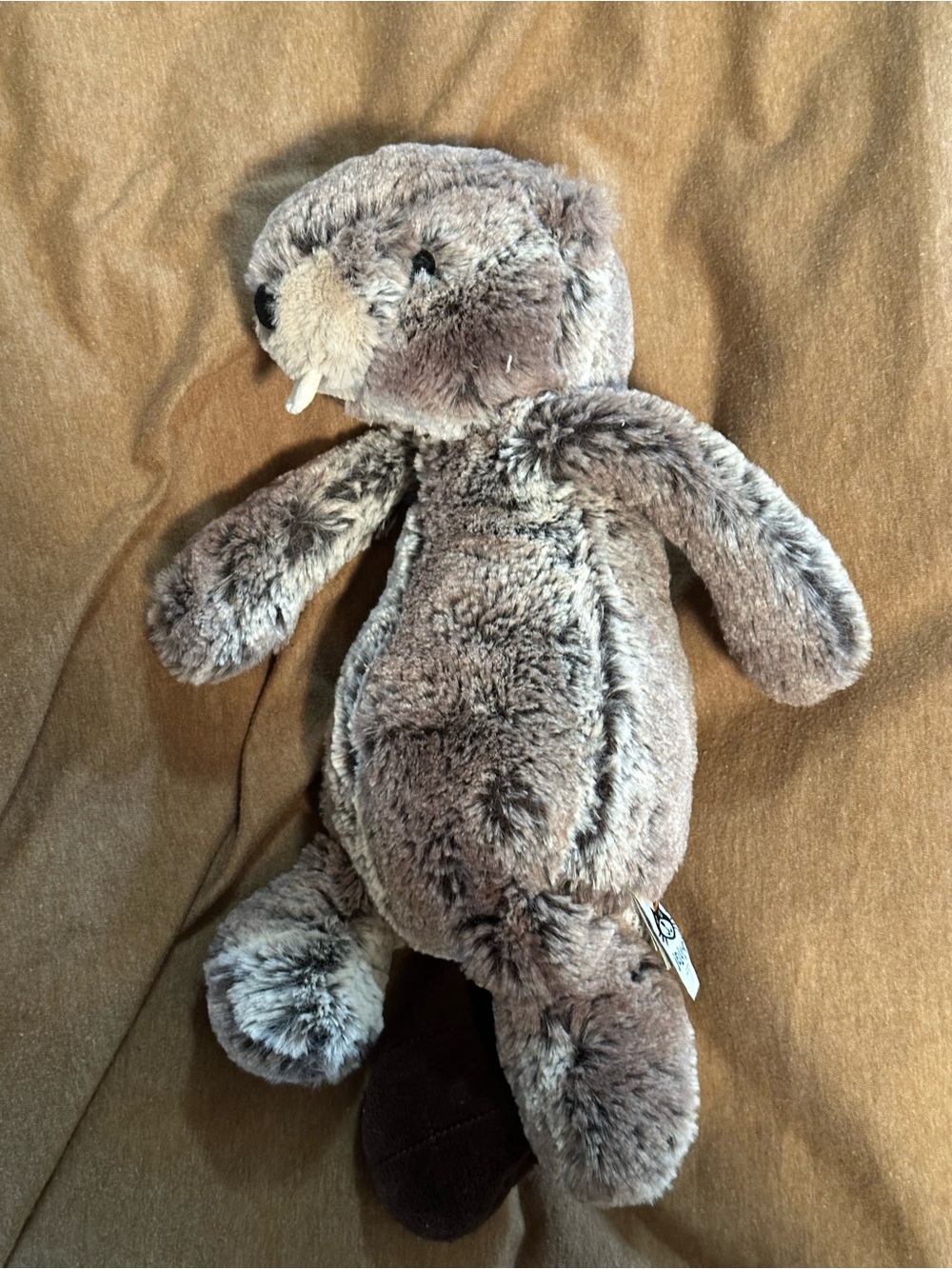 Brown Beaver JellyCat - Picture 3 of 5
